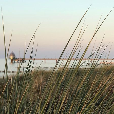 Ferienhaus Strandoase Zingst Exterior foto